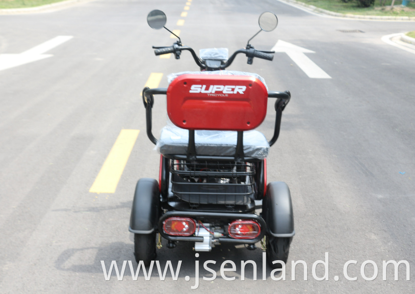 Adult Cargo Best Price Electric Tricycle